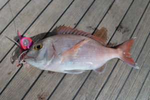 Test du kabura Hinata Kab en grandes profondeurs