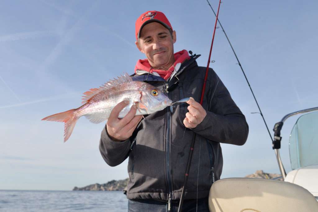 Beau pageot pêché  en traction avec un Métal spot doté d’un triple à palette