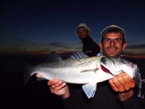 3DR Pencil : le stickbait ultime !