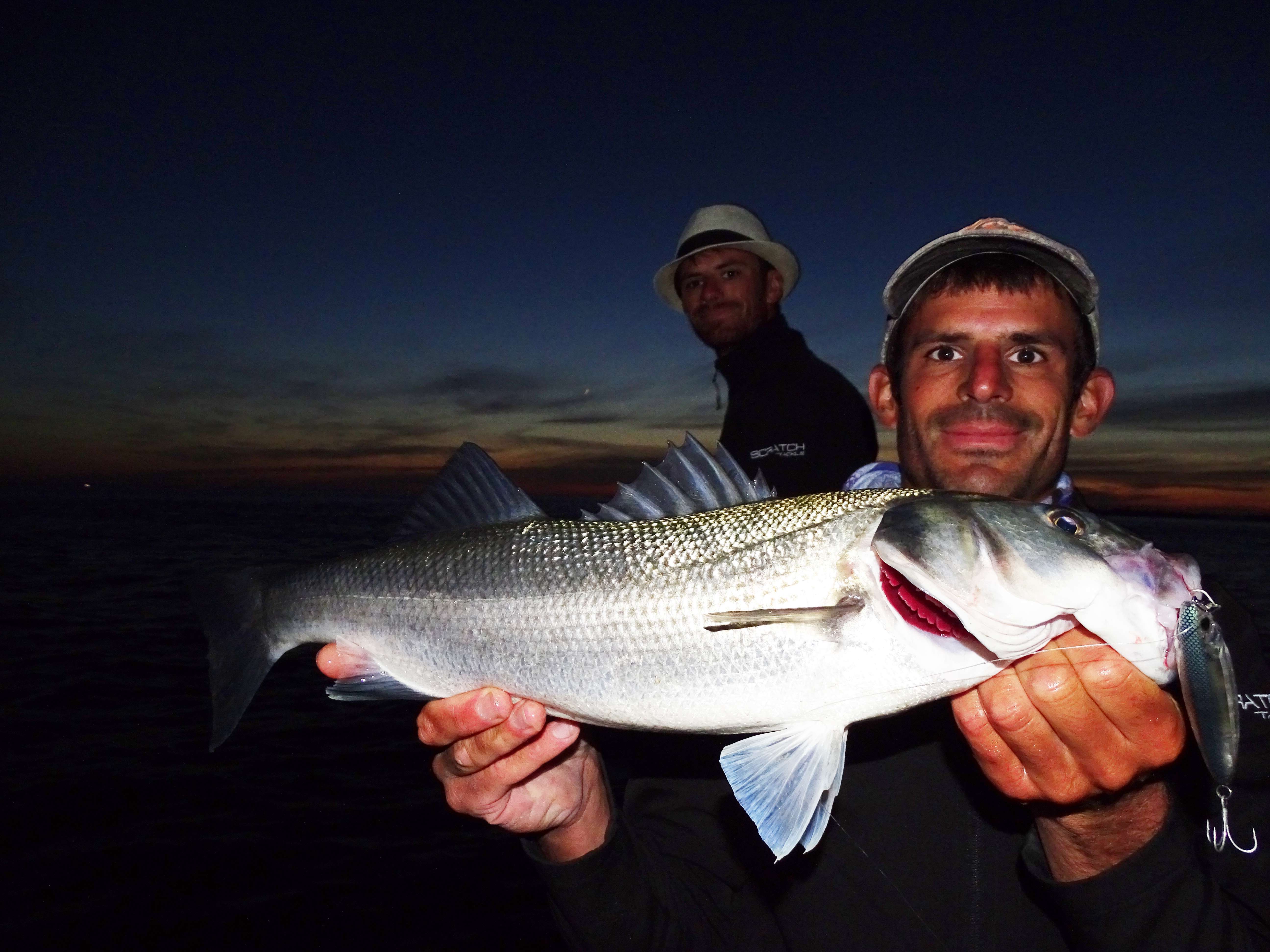 3DR Pencil : le stickbait ultime !