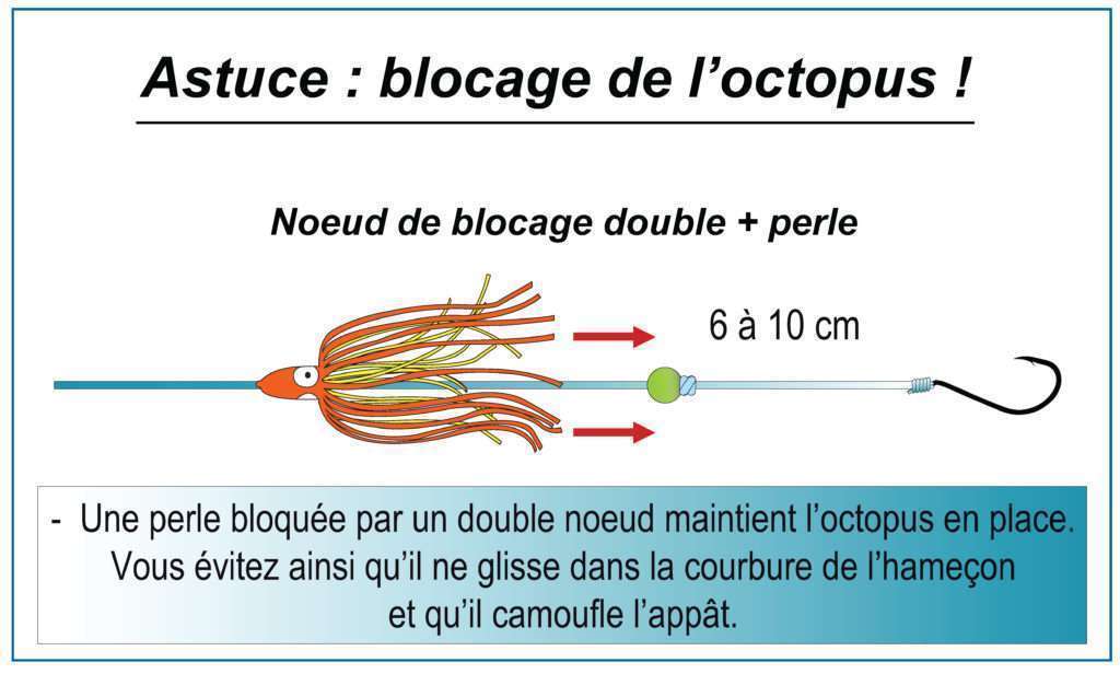 Astuce pour bloquer l’octopus devant l’appât Astuce pour bloquer l’octopus devant l’appât
