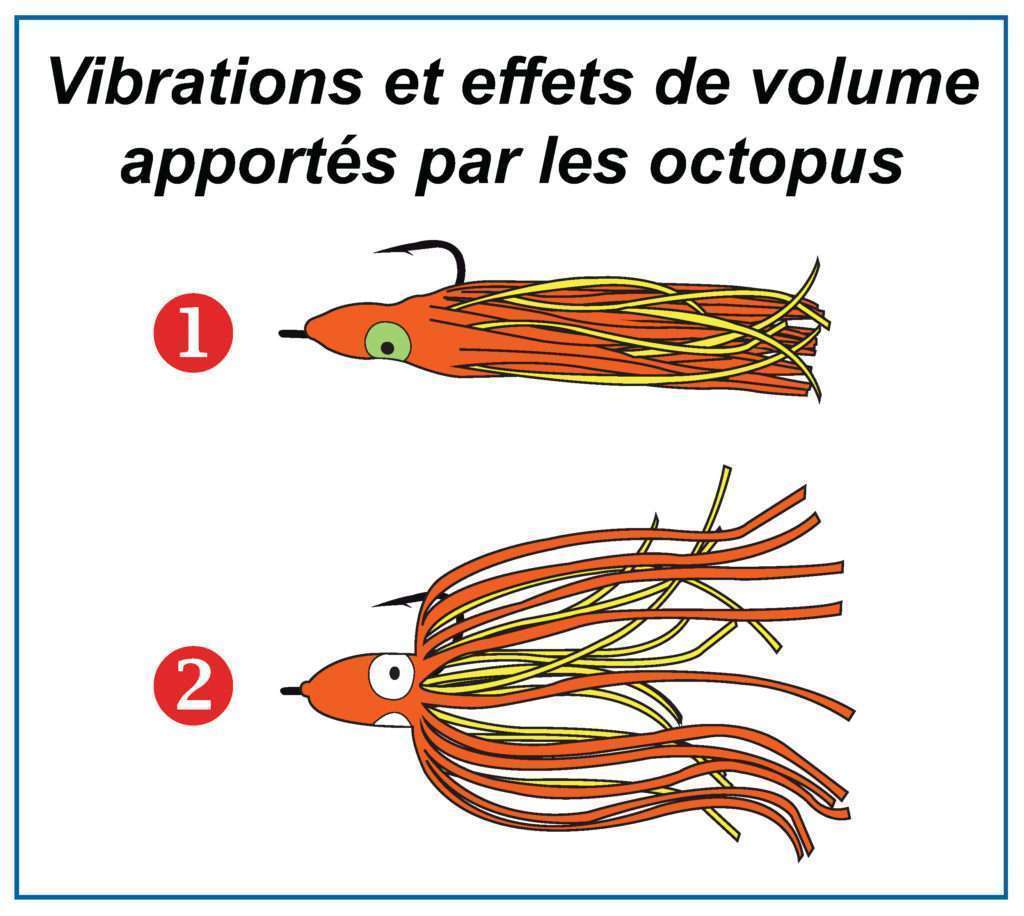 Vibrations et effets de volume apportés par les octopus Vibrations et effets de volume apportés par les octopus
