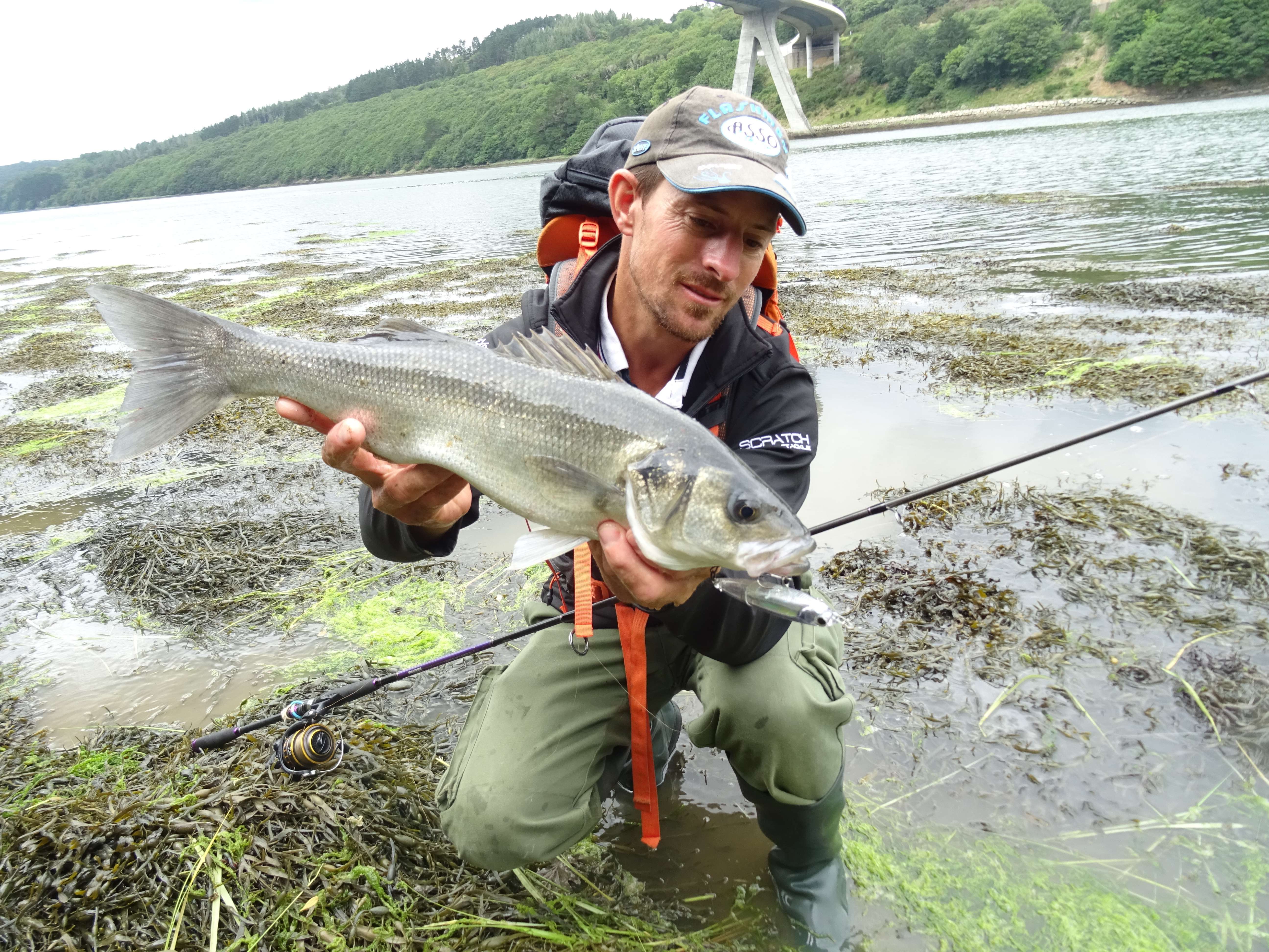 Stickbait 3DR Pencil : idéal pour les pêches du bord !