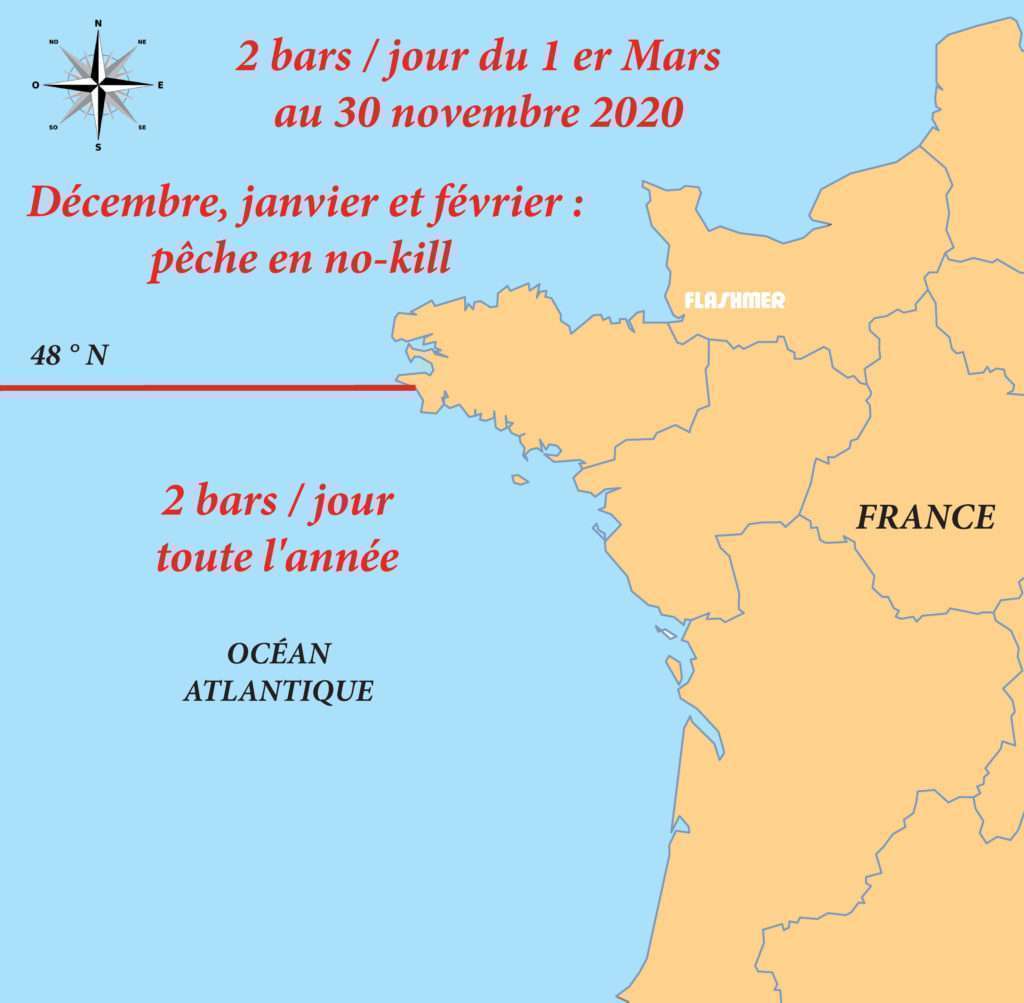 Législation pêche du bar 2020 Législation pêche du bar 2020