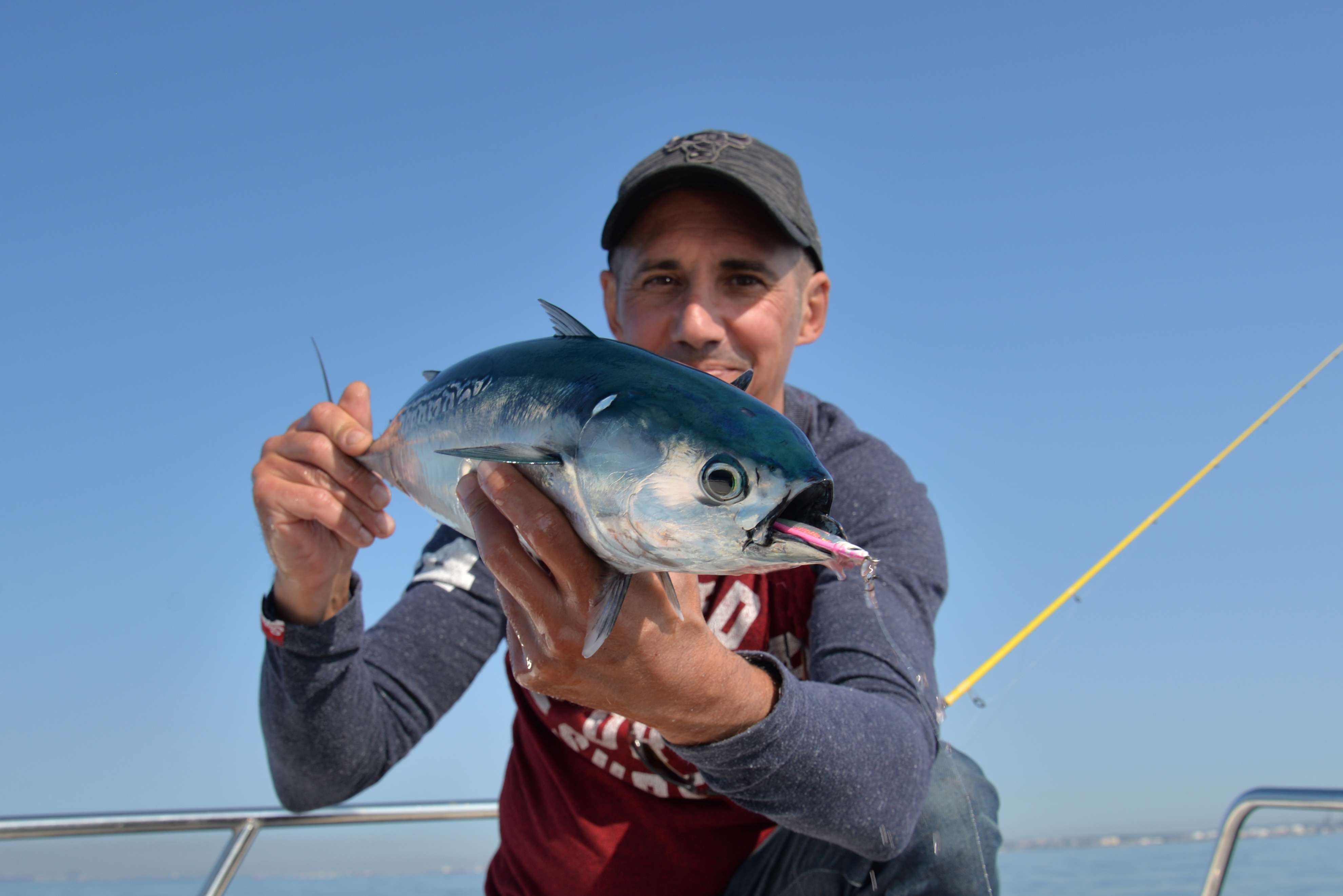 Bonites à la Cuiller Anchois L-Jack
