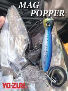 Mag Popper Yo-Zuri : des distances de lancer records !