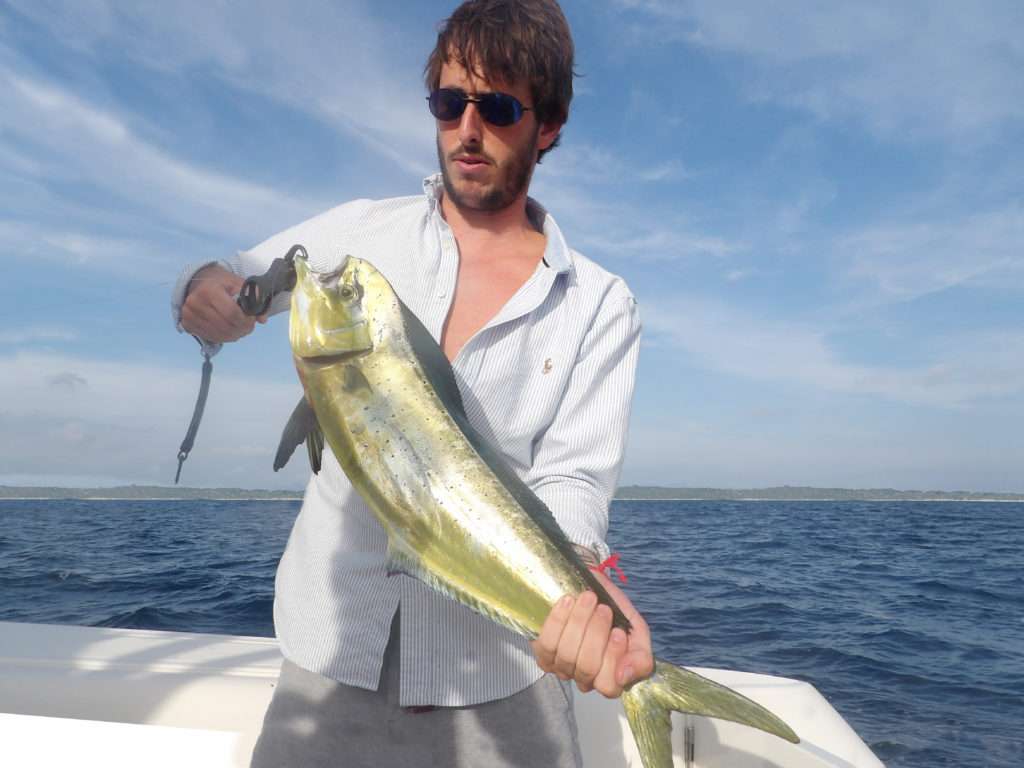 Un bon fish grip tel que le Scale Explorer Tackle permet une meilleure relâche des poissons Un bon fish grip tel que le Scale Explorer Tackle permet une meilleure relâche des poissons