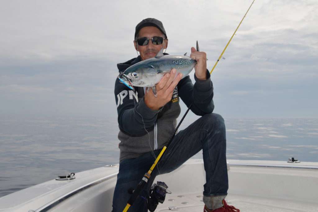 Un autre bonitou pris au Meiji Explorer Tackle 14 g