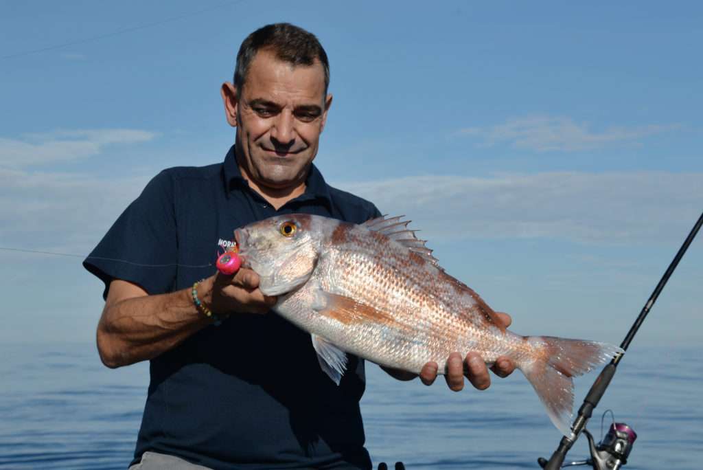 Beau pagre pris avec un Hinata Kab Explorer Tackle ! 