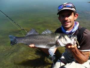 Bars en texan du bord au shad Pulse Yum