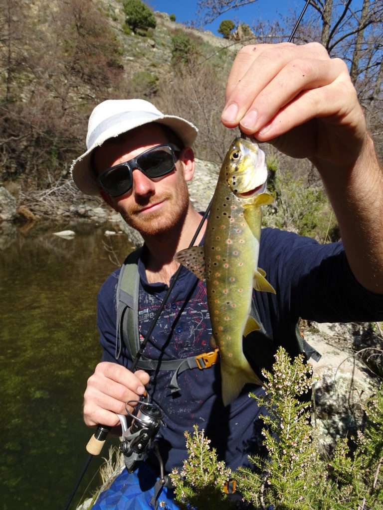 Belle truite prise par Colin au leurre souple