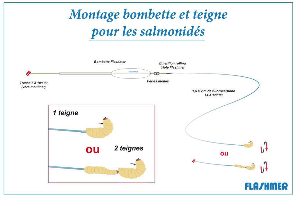Montage bombette et teignes