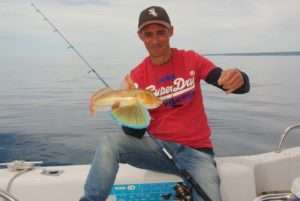 Test du montage daurade royale coulissant Flashmer