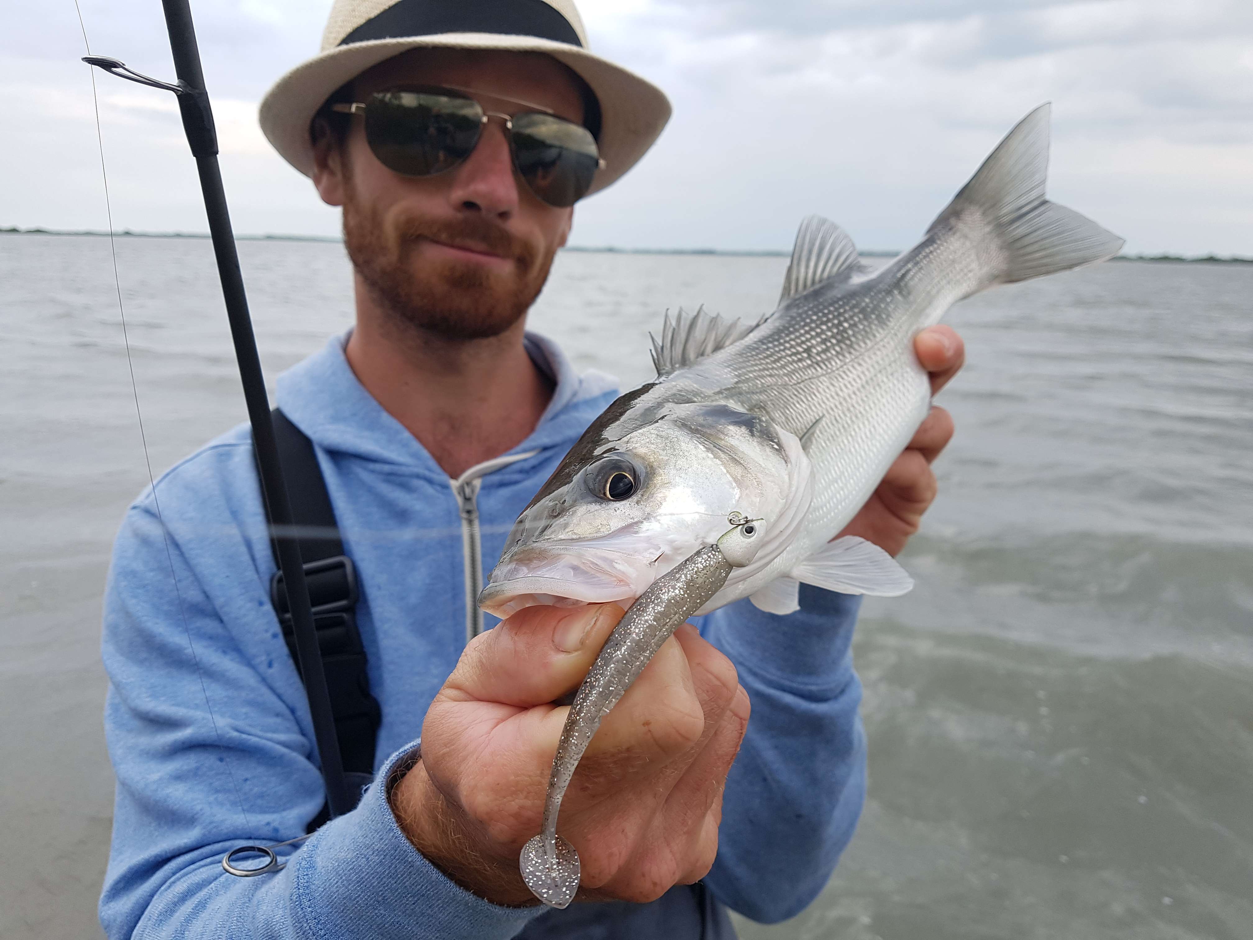 Pêches en finesse au shad Elite Shiner