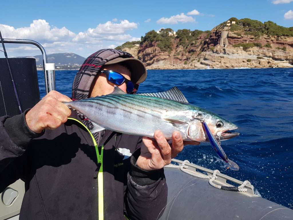 Vincent avec une pélamide prise au Crystal Minnow DD 