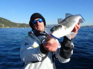 Crystal Minnow DD Yo-Zuri : pêchez plus profond !