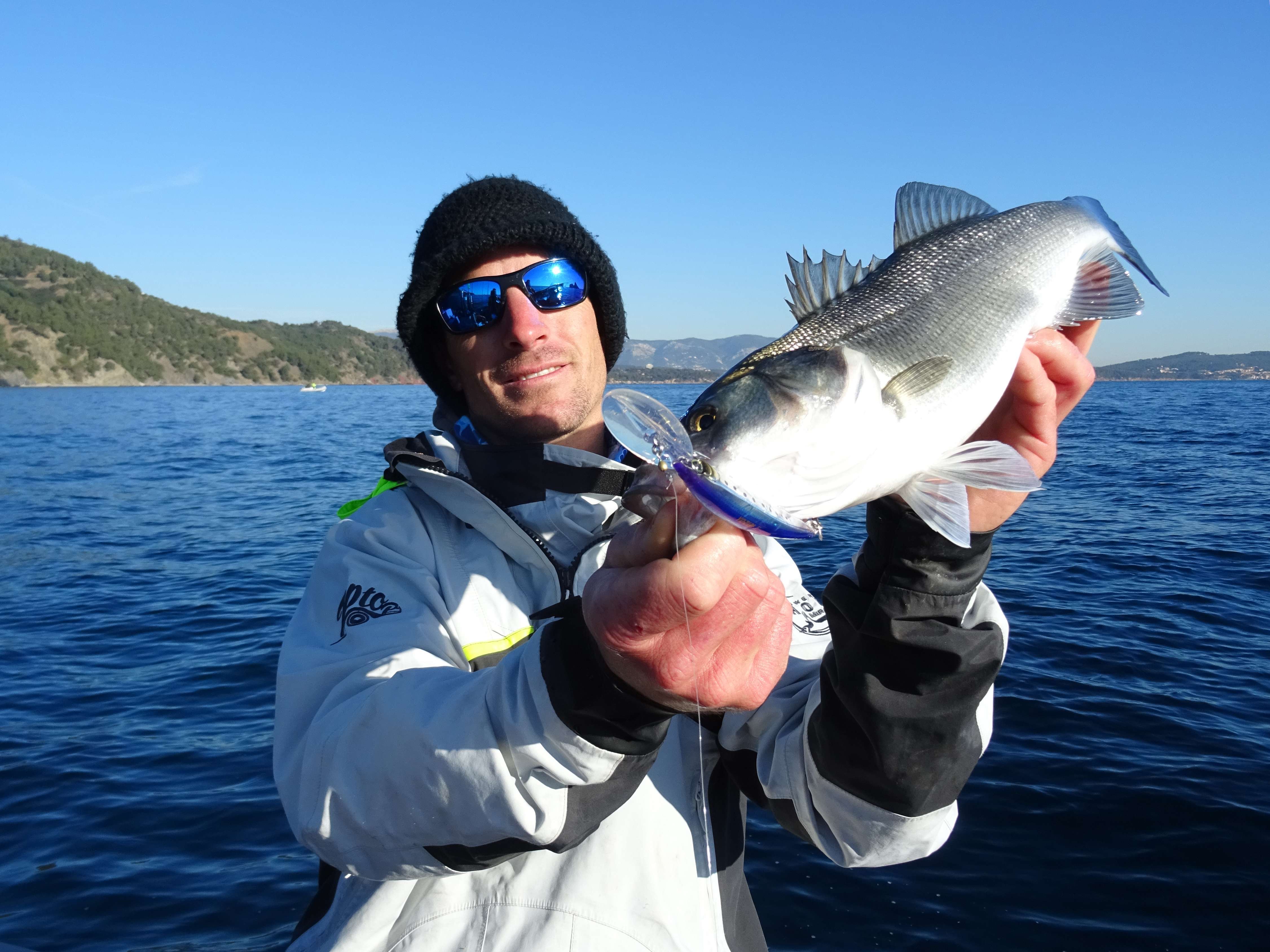 Crystal Minnow DD Yo-Zuri : pêchez plus profond !