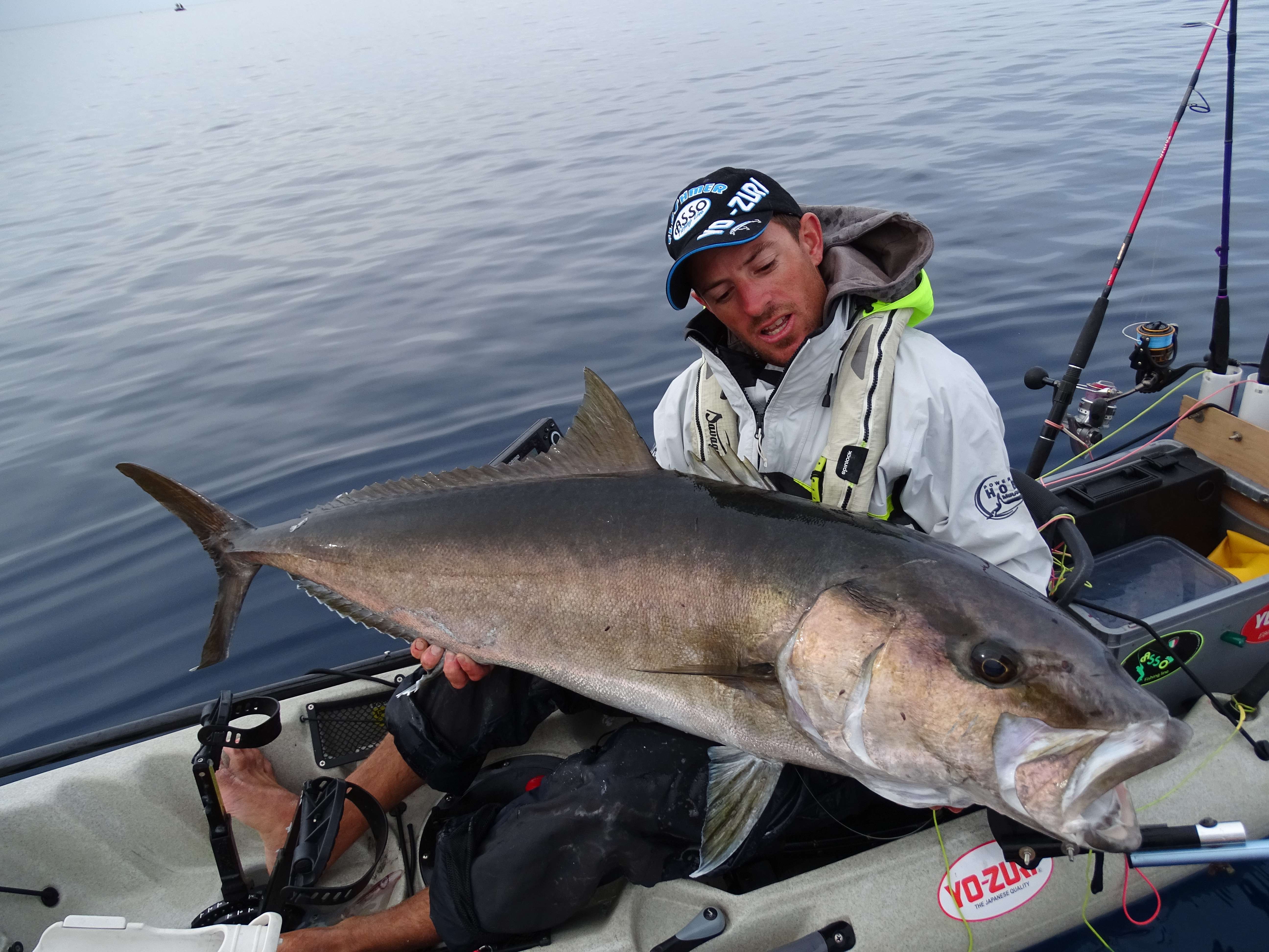 Pêche de la sériole au vif