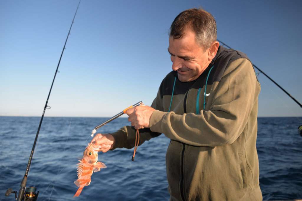 Une pince dégorgeoir permet d’ôter l’hameçon en maintenant les mains éloignées des épines venimeuses