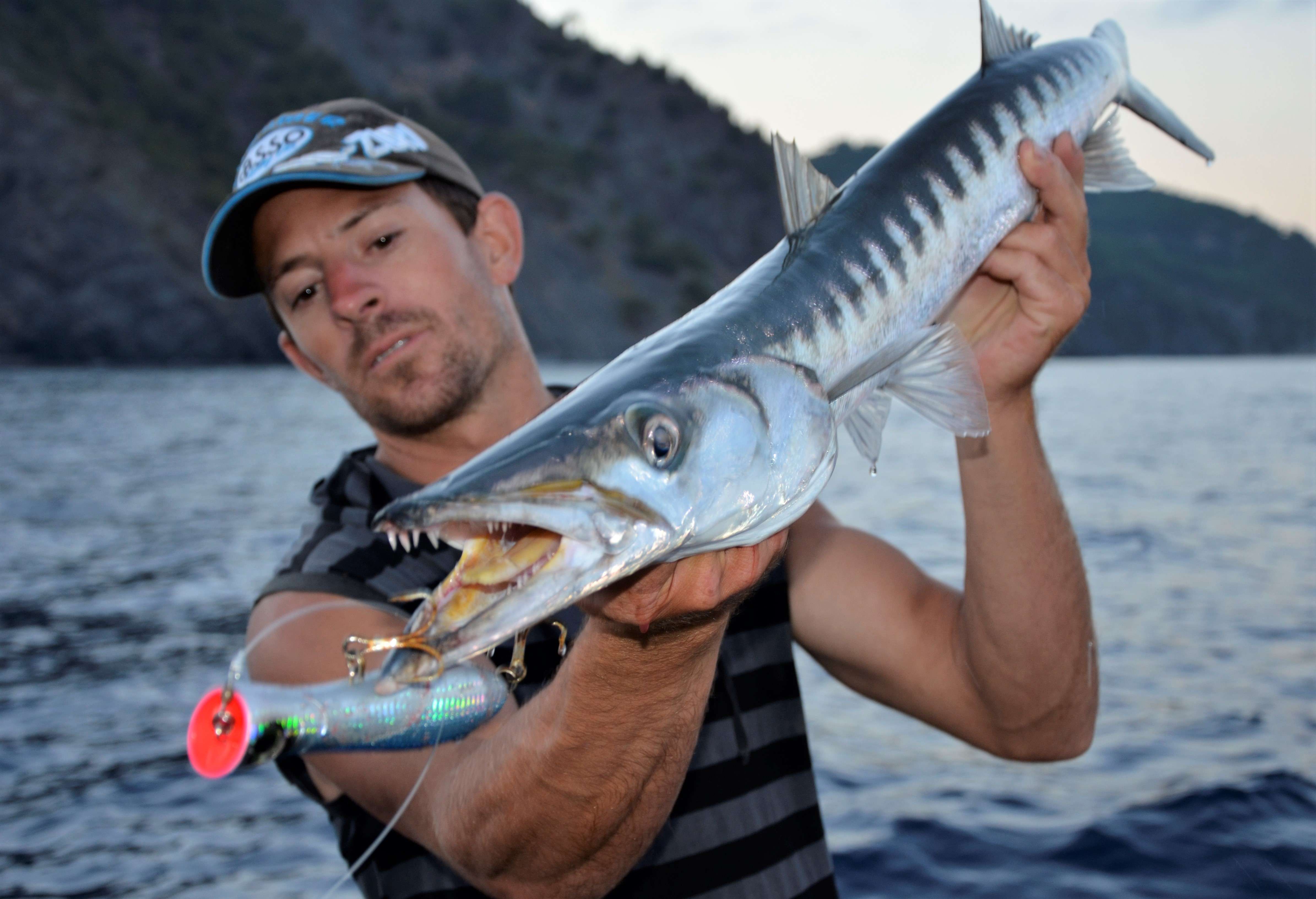 Pêche fun des barracudas méditerranéens au popper !