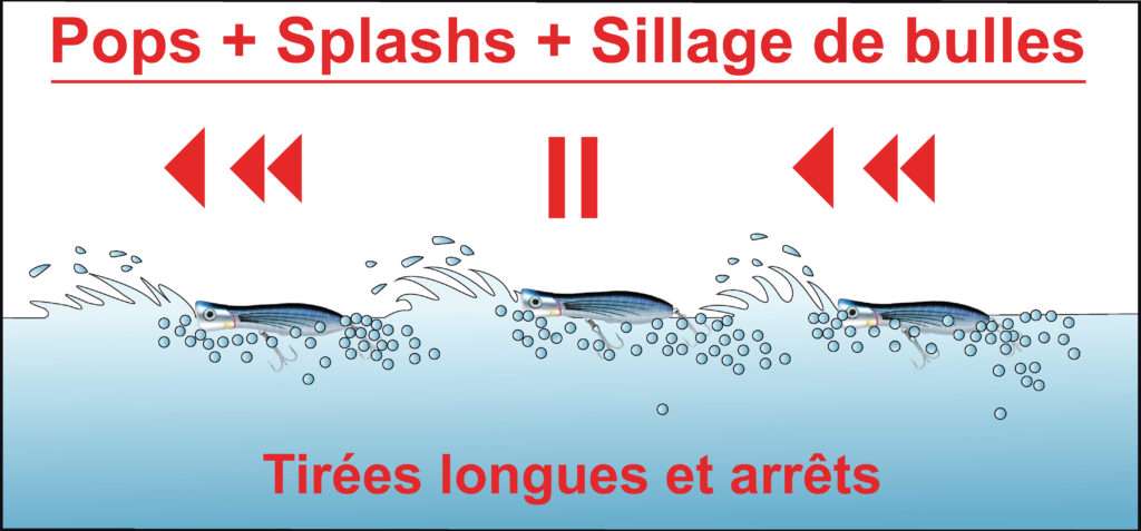 Bull Pop Yo-Zuri : pops, splashs et sillages de bulles Bull Pop Yo-Zuri : pops, splashs et sillages de bulles