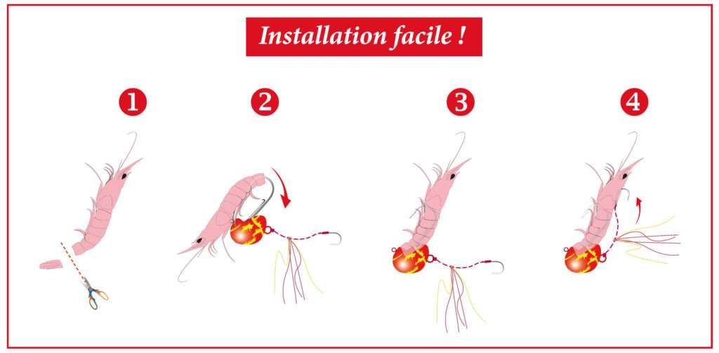 Comment installer une gambas sur votre tenya Explorer Deep Bream Explorer Tackle