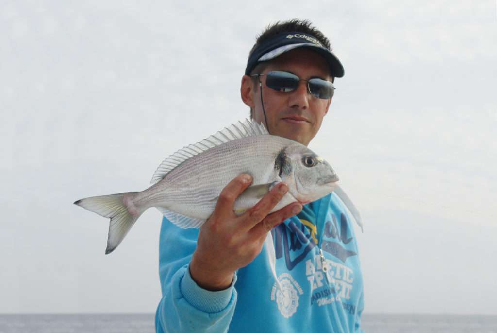 En automne, les dorades se trouvent à plusieurs dizaines de mètres de profondeur