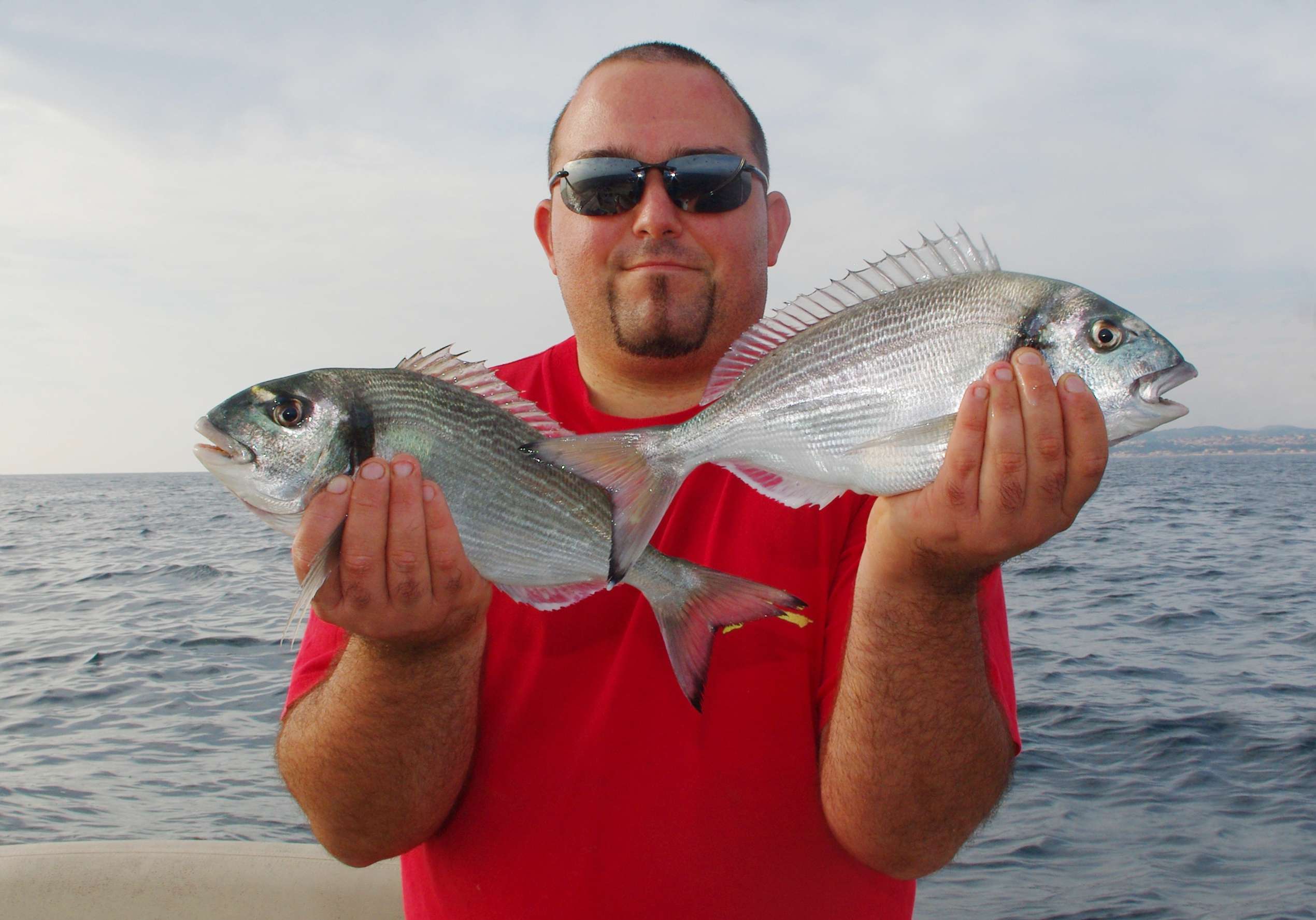 Sparidés en pêche fine au montage Daurade Royale Traînard Flashmer