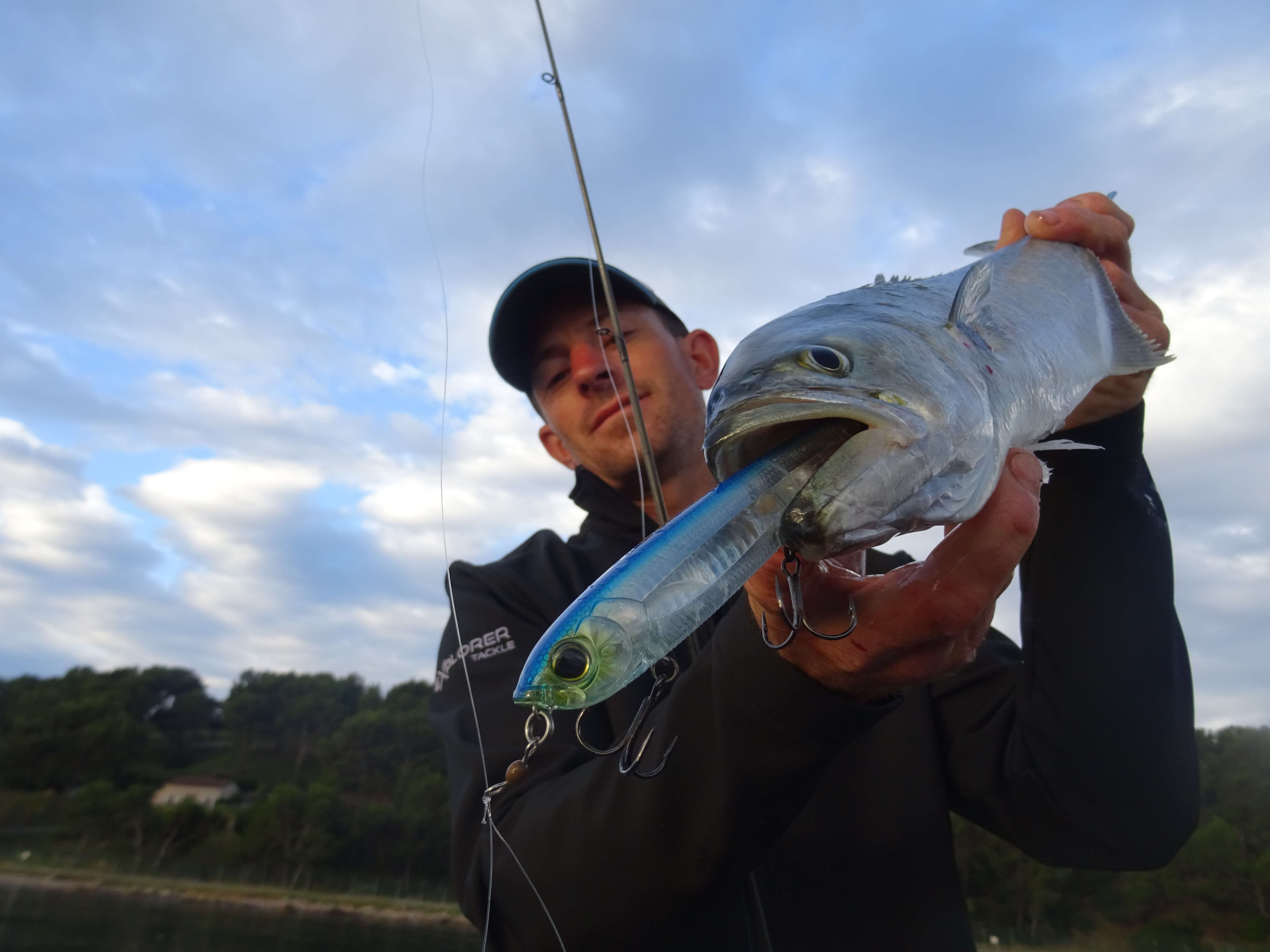 Tassergals au stickbait 3DB Pencil Yo-Zuri