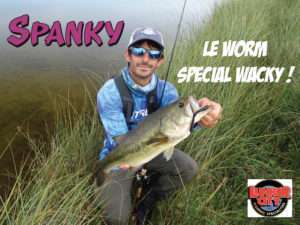 Spanky : la technique du wacky en drop shot