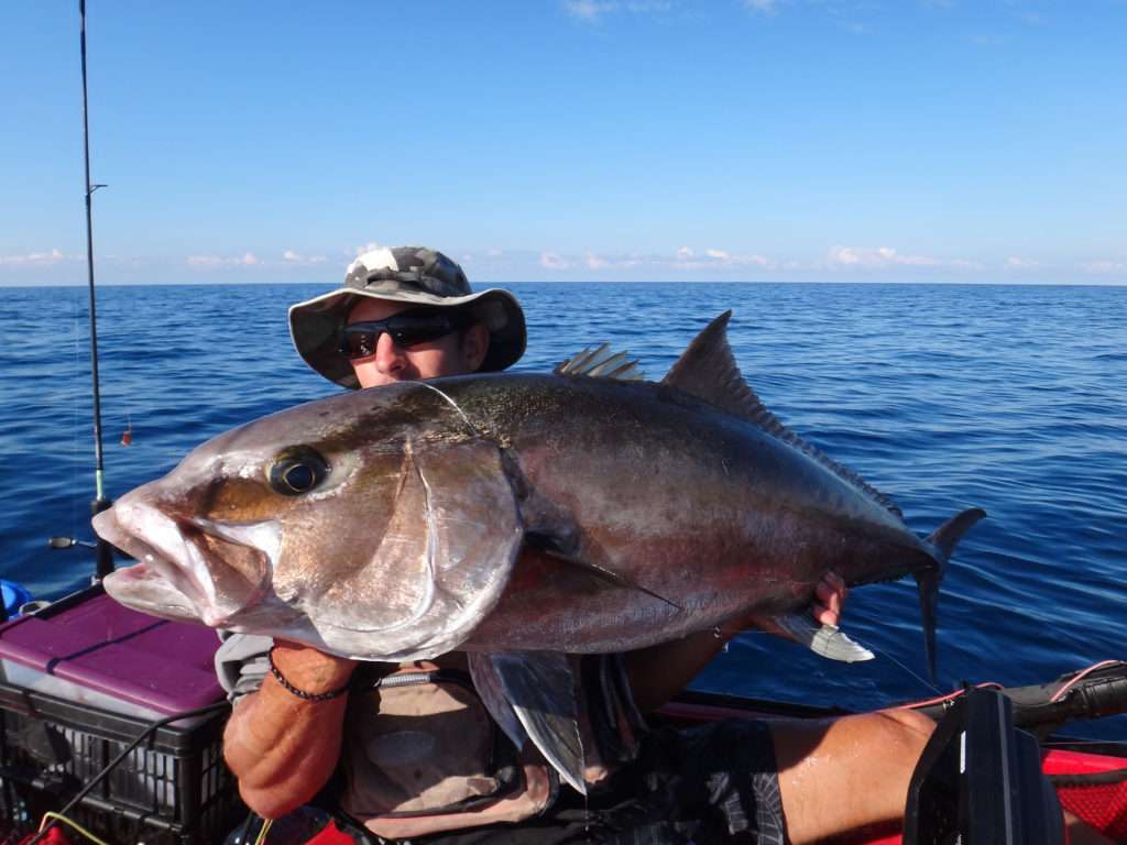 Enorme sériole prise au Fireball Explorer Tackle par Vincent Goletto ! 