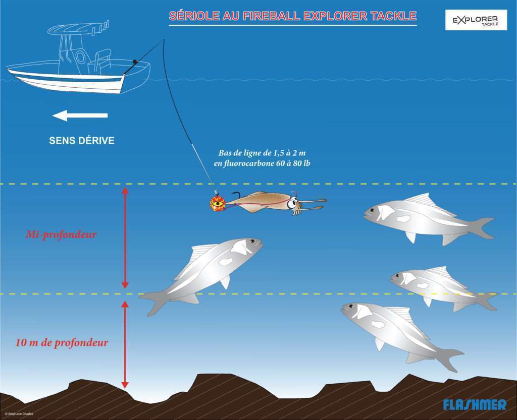 Pêche de la sériole à l’Explorer Fireball Explorer Tackle Pêche de la sériole à l’Explorer Fireball Explorer Tackle