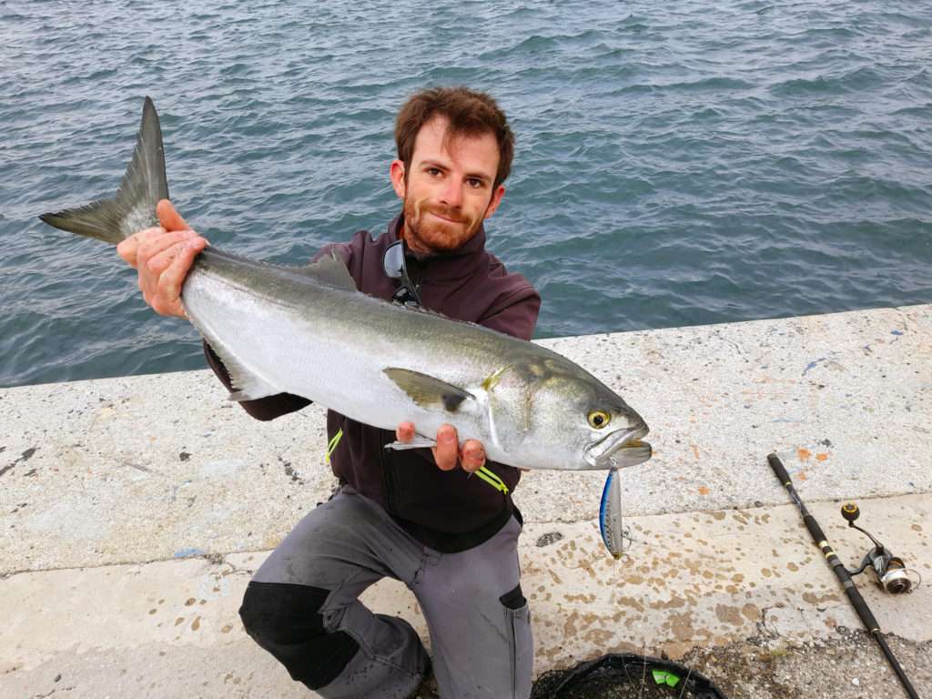 Tassergal de 75 cm pour prés de 4 kg : le record de Colin grâce à l’Hydro Minnow Yo-Zuri ! Tassergal de 75 cm pour prés de 4 kg : le record de Colin grâce à l’Hydro Minnow Yo-Zuri !