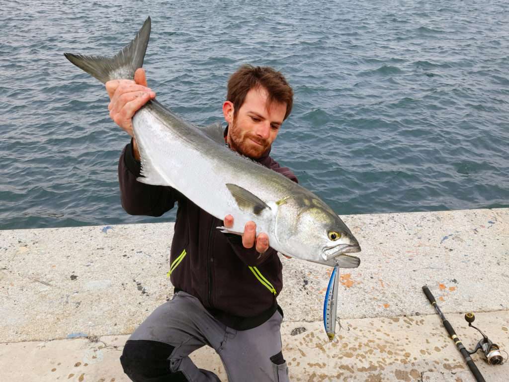 Tassergal record pris à l’Hydro Minnow Yo-Zuri par Colin ! Tassergal record pris à l’Hydro Minnow Yo-Zuri par Colin !