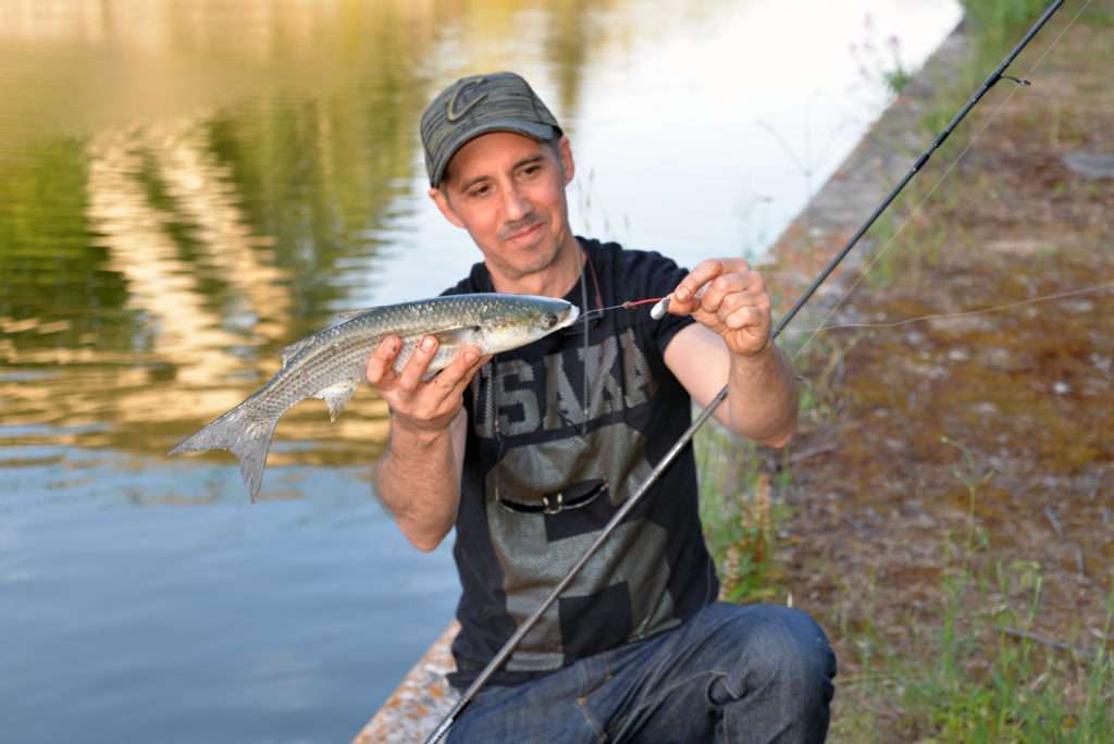Ce beau mulet a livré un combat impressionnant sur ligne fine