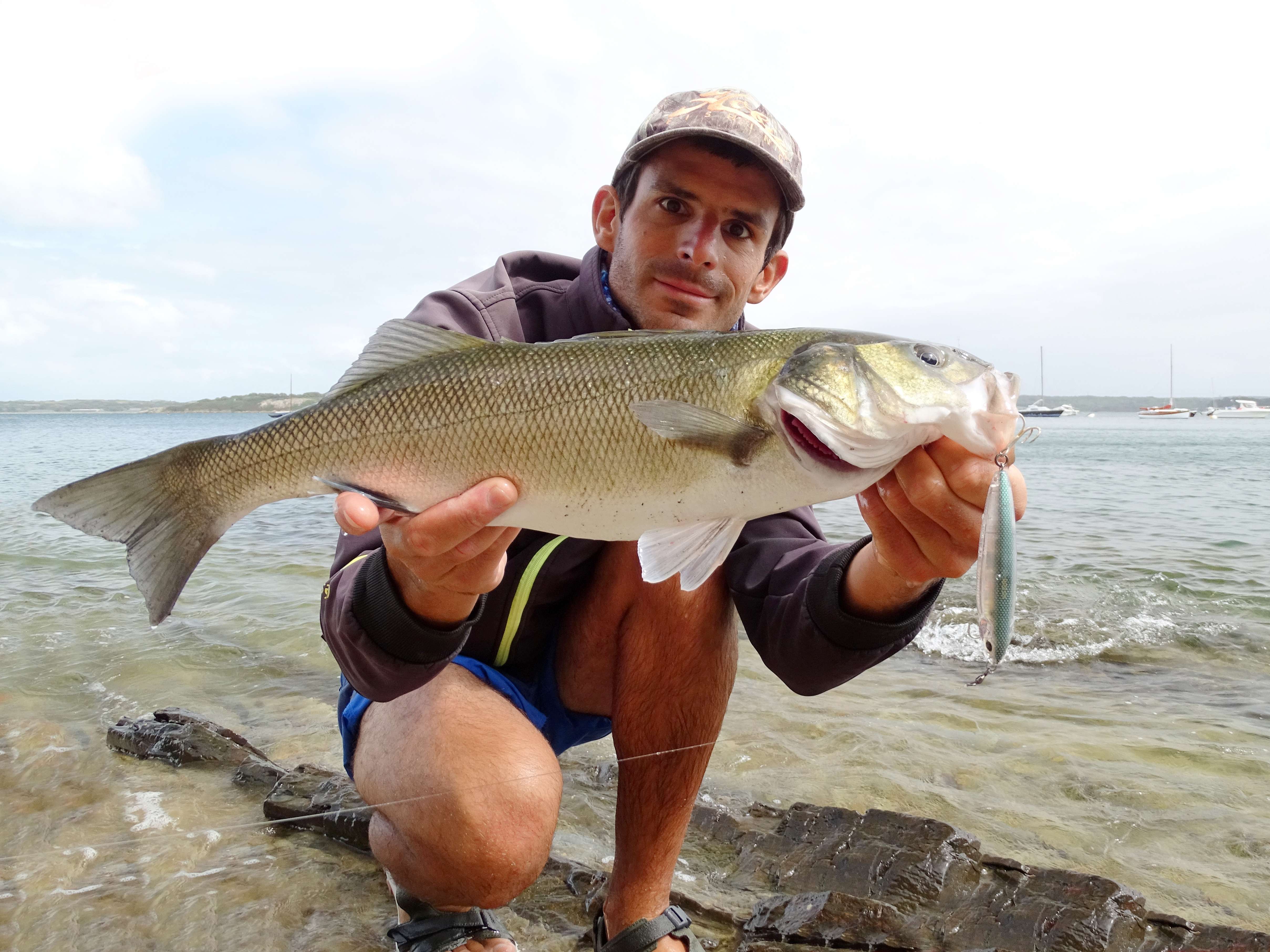 Bars du bord au stickbait 3DR Pencil Yo-Zuri