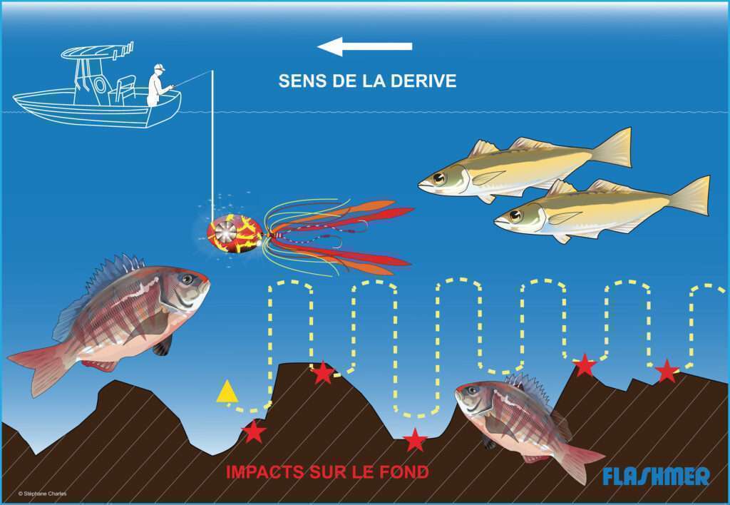 Kaburas : dandine prés du fond