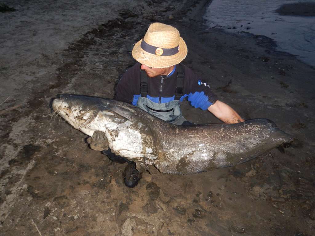 Beau silure pour Colin !