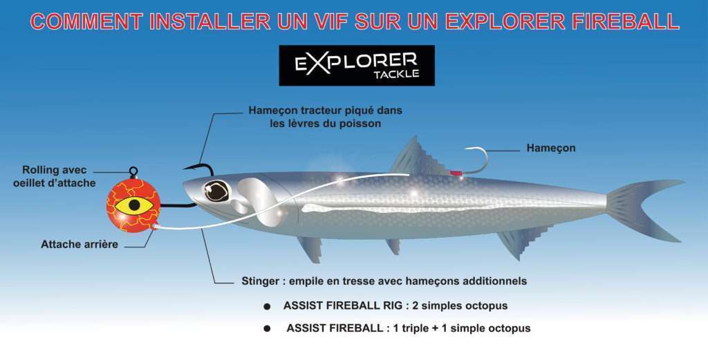 Installer un vif sur votre Explorer Fireball