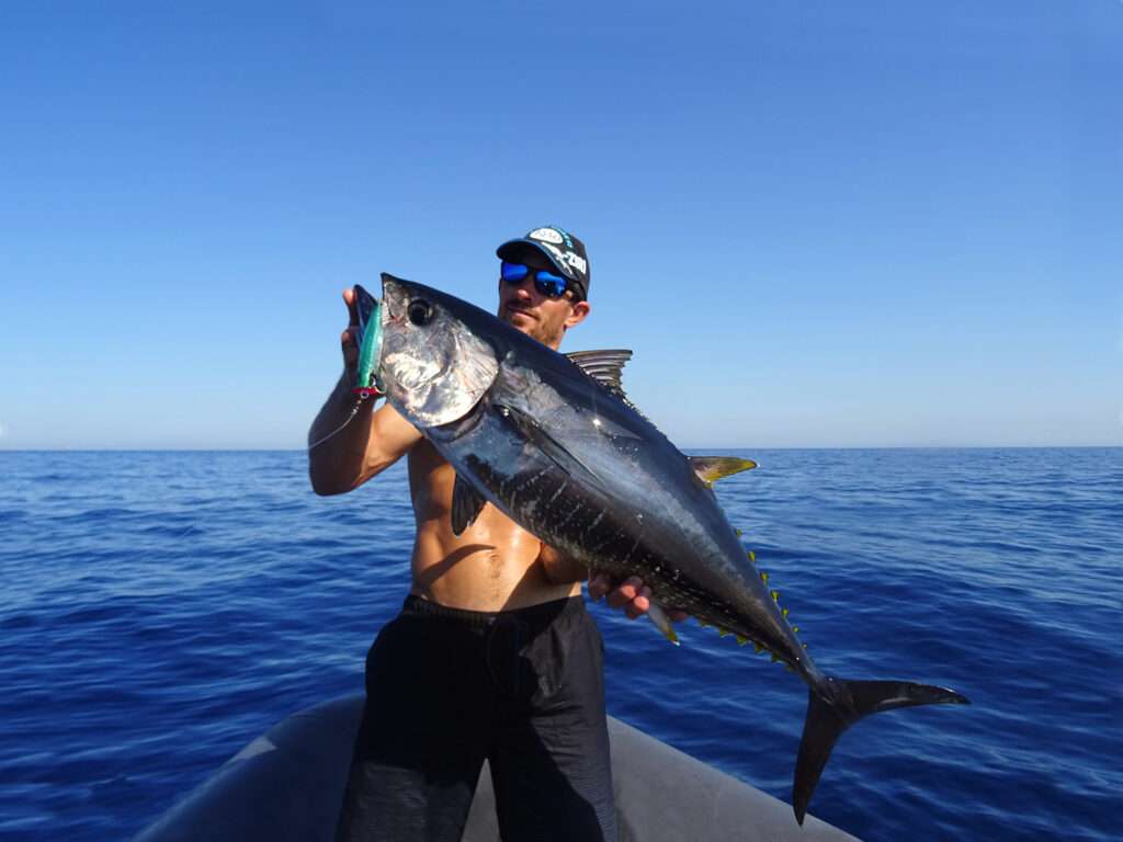 Le 3D Popper est LE popper idéal pour la pêche des thons rouges méfiants !