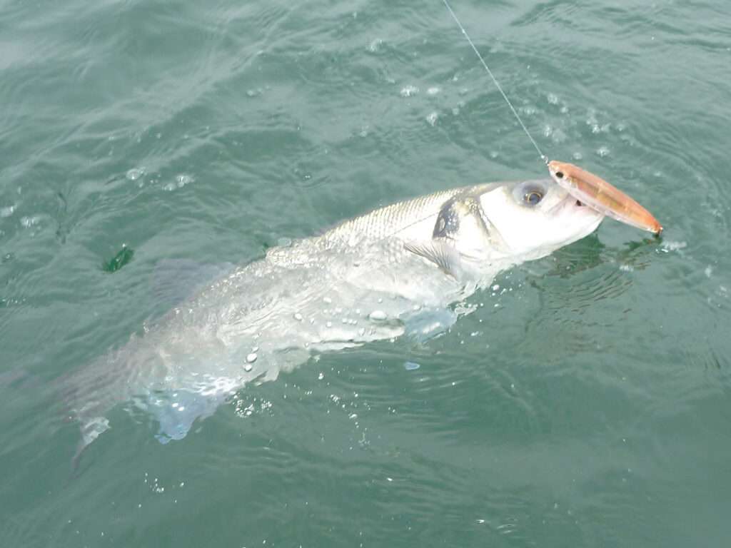 3DR Pencil : un 4X4 des mers !