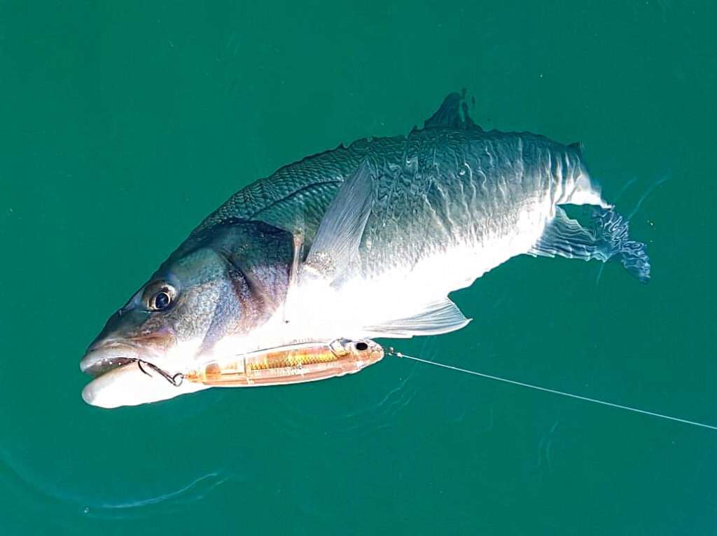 Le 3DR Pencil est excellent pour les eaux cristallines !