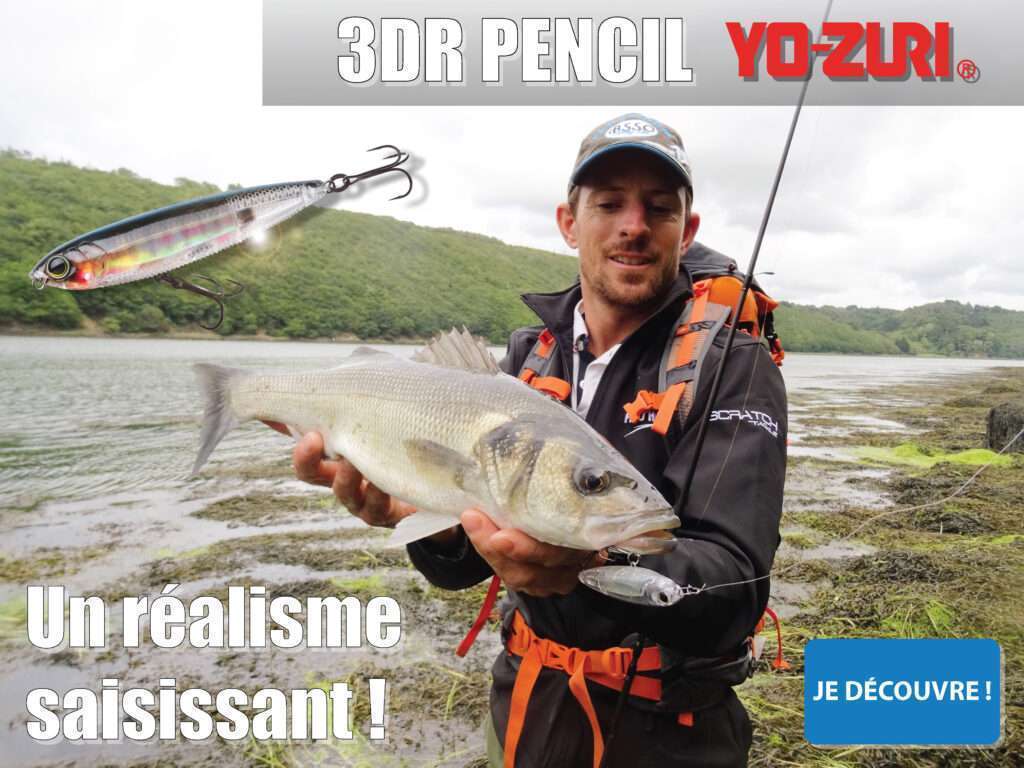 3DR Pencil : le stickbait au réalisme saisissant ! 
