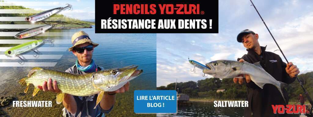 https://www.flashmer.com/blog/wpid18140/leurres-yo-zuri-une-robustesse-hors-norme/