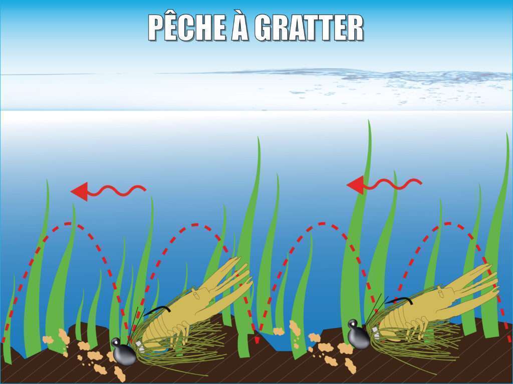 pêche à gratter avec un rubber jig Booyah associé à une craw