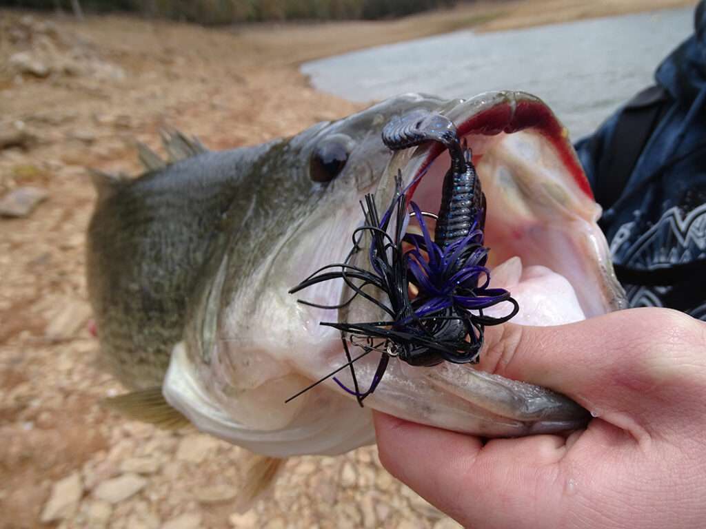 Les rubbers jigs Booyah sont parfaits pour traquer en profondeur les prédateurs les plus méfiants en pêche à gratter 