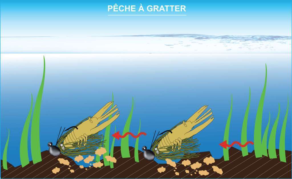pêche à gratter avec un rubber jig Booyah associé à une craw