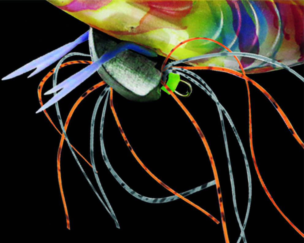 Pattes de crevettes en silicone