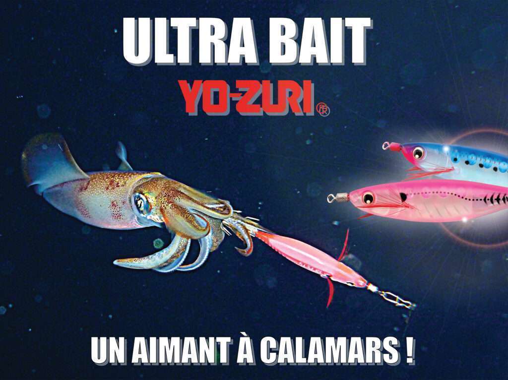 Calamar pris à l’Ultra Bait rose