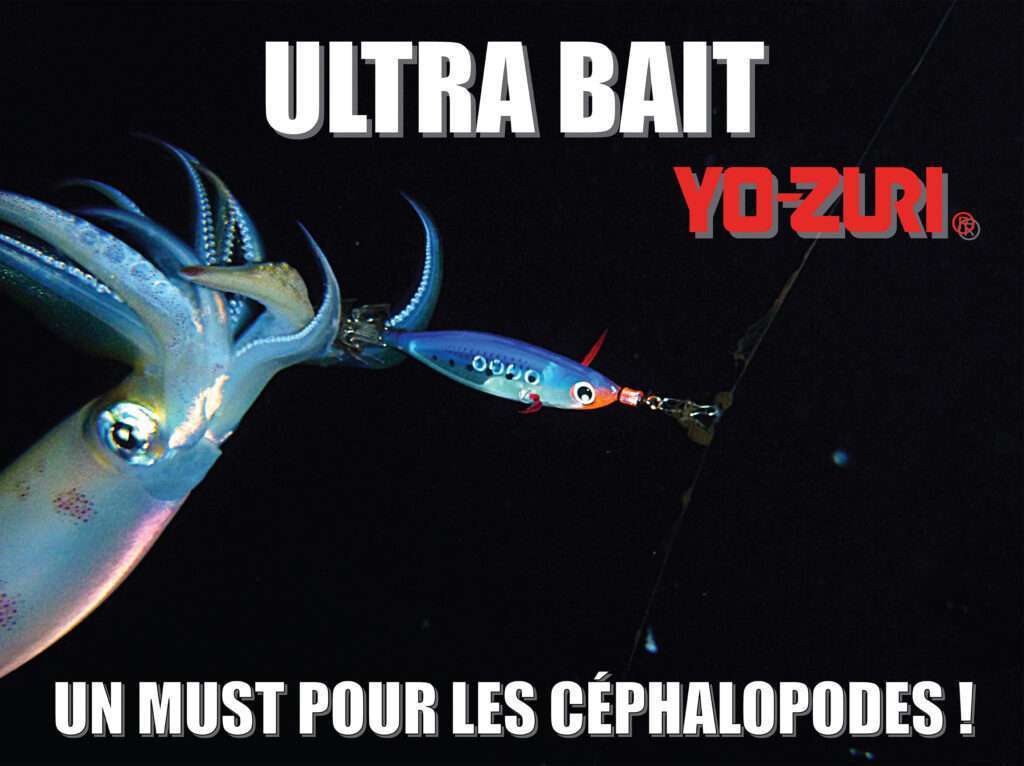 Calamar à l’Ultra Bait